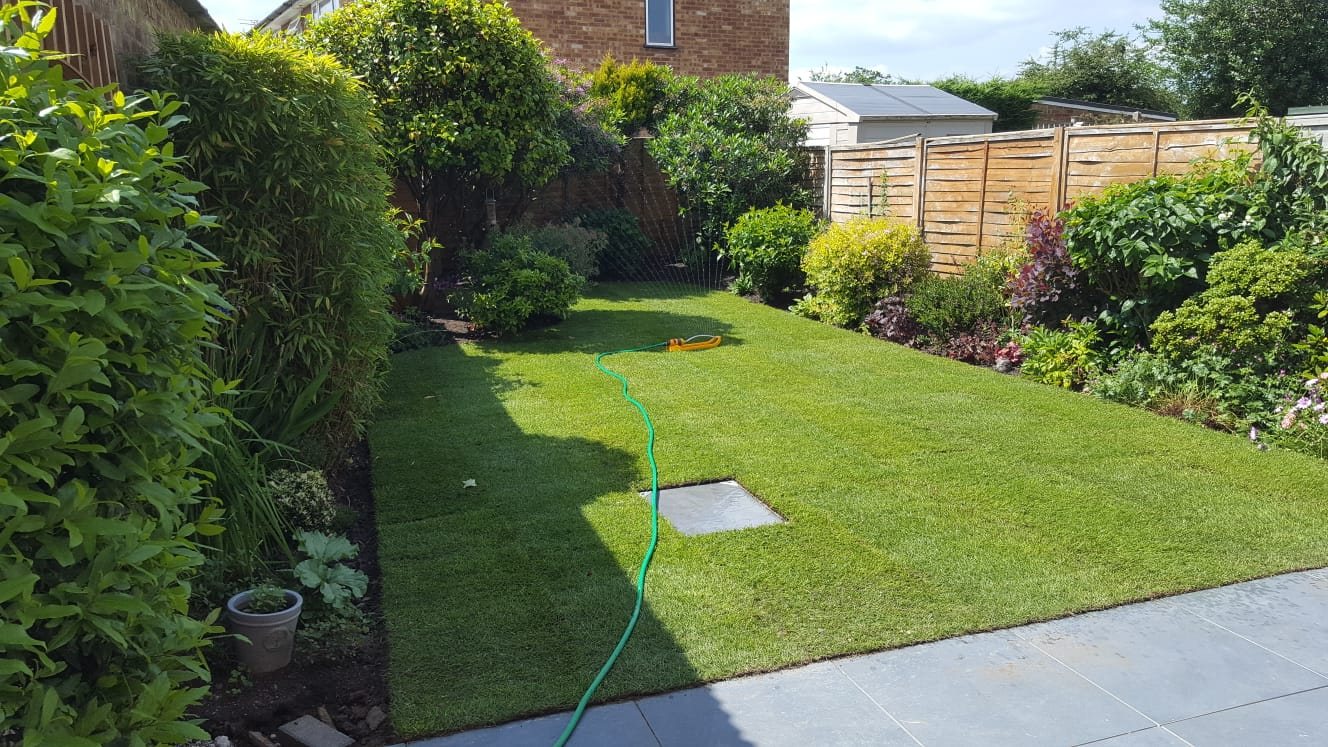 Well maintained garden with lawn and planted borders
