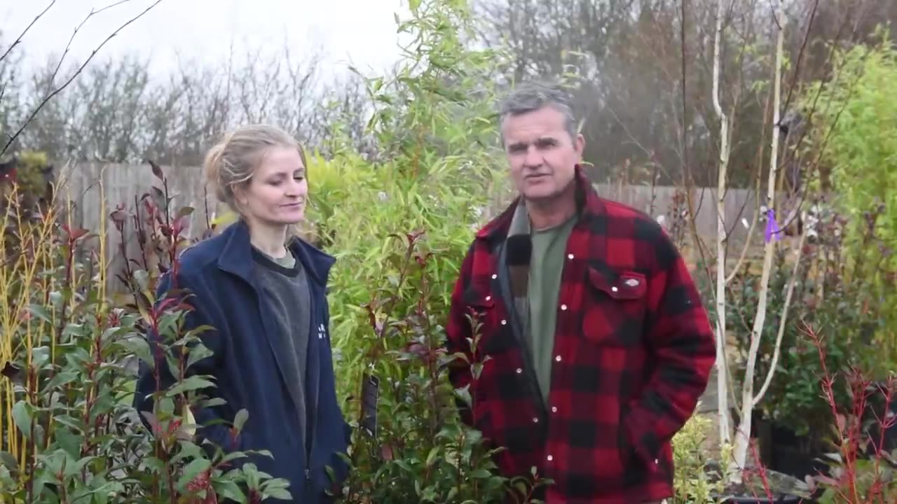 Garden Barber team among plants at the nursery